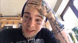 Taddl - Freestyle! / Livia Latty