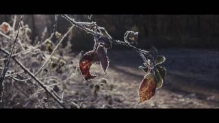 Ursa Mini 4k with Canon 24-70 F2.8 Winter