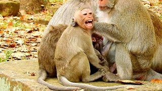 Janet cries shaking when mom push out of milk new baby Janna