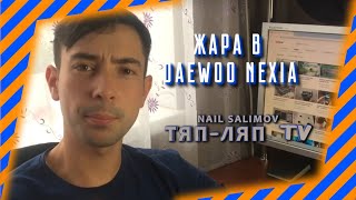 Самый настоящий способ сделать деу нексию теплой