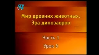 Динозавры. Урок 1.6. Загадки рогатых динозавров. Разнообразие цератопсов