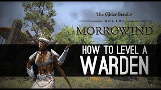 How to level a Warden for Morrowind - Elder Scrolls Online ESO