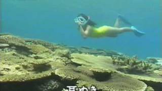 rgb_material "SPORTS DIVING" 1/3