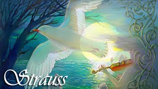 Strauss Classical Music for Studying, Concentration, Relaxation | Study Music | Instrumental Music