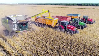 XXL MOISSON maïs 2017 in FRANCE - Claas Lexion 780 TT & Gros Matériel ! [4K]