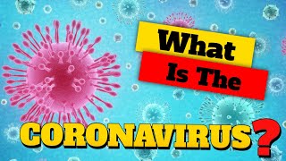 ? What is the Coronavirus in Humans❓ - What is Human Coronavirus 2019 Ncov❓