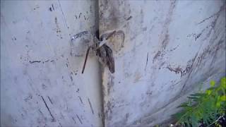 Заброшенные и ЗАБЫТЫе ГАРАЖи./Что можно найти?