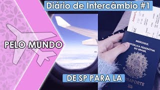 INDO PRA CALIFÓRNIA E COMEÇANDO O DIÁRIO DE INTERCÂMBIO | #PeloMundo