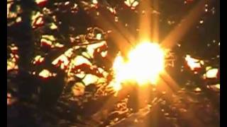 Алег и Алеся - Полетим с Тобой!