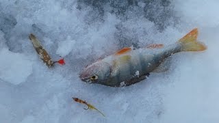 Малек-Пыздрик своими руками, догоняйка и ловля на неё