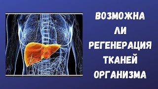 Опыт регенерации тканей организма. Антон Артмид