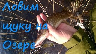 Ловим Щуку на  лесном озере ранней весной