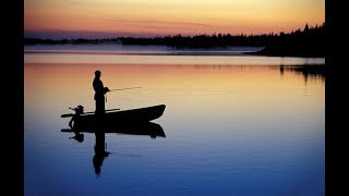 The Fisherman - Fishing Planet. Ищем усача для турнира.