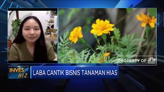 Langkah Awal Memulai Bisnis Tanaman Hias Bagi Milenial