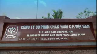 Giới thiệu Công ty Cổ phần Chăn nuôi C.P. Việt Nam | VN Version