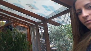 Planted Finch Aviary