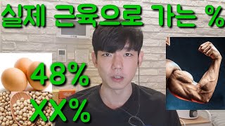 단백질도 단백질 나름이다..?? *근육량 욕심꾼 주목*