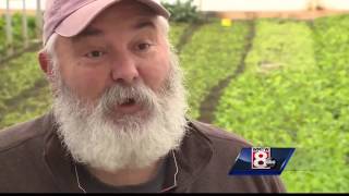 Winter farming in Maine