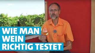 Werner erklärt Wein: Richtig trinken und schmecken | SWR | Landesschau Rheinland-Pfalz