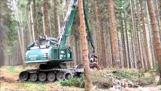 Impex Raupenharvester