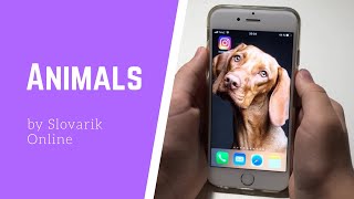 Животные на английском - “Animals” by Slovarik Online