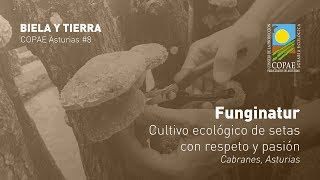 Cultivo ecológico de setas con respeto y pasión