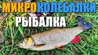 Ловля голавля и окуня на блесны - микроколебалки