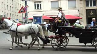 Вена Кареты по кольцу