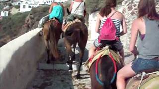 Donkey Death Race