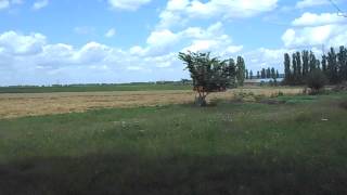 жнива почались в селі 3