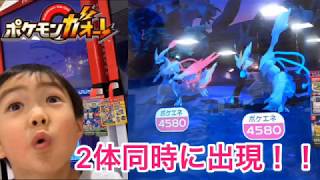 ブラックキュレムとホワイトキュレム2体同時に出現！！ポケモンガオーレ