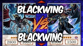 Duel Week: BLACKWINGS vs BLACKWINGS (Yugioh Deck Mastery)