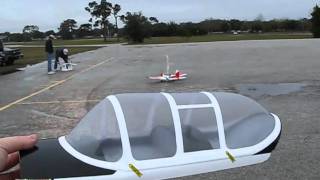 RC T-34 Mentor and P-51 Mustang