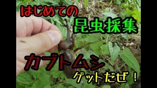 【昆虫】マーキーズはじめての昆虫採集‼