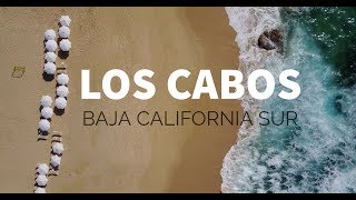 QUÉ VER EN LOS CABOS - BAJA CALIFORNIA SUR: el desierto más bello de México