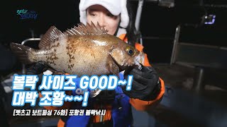 [렛츠고 보트피싱 76회] 포항권 볼락 낚시!! 사이즈 대박!!! (feat.대성호)