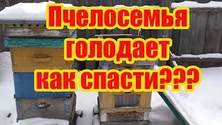 ???1 Часть. КАК СПАСТИ ПЧЕЛОСЕМЬЮ ЗИМОЙ, ЕСЛИ МАЛО КОРМА, КЛУБ В ВЕРХНЕМ КОРПУСЕ