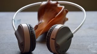 Rapoo Bluetooth Stereo Headset H6020 Review