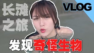 BORACAY 之旅沙灘發現奇怪生物！