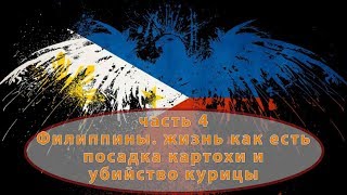4   !!!+18+!!!   посадка картошки и убийство курицы