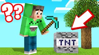 ALL BLOCKS Are SECRETLY TNT In MINECRAFT! (Troll)