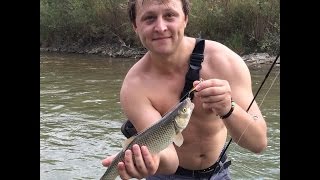 Трофейный голавль, река Подкумок! Воблер L Minnow 44