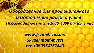 Equipment for industrial production of frames and hives