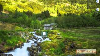 Скачиваем msidcrl40.dll и устраняем ошибки