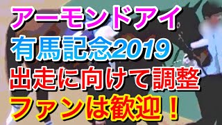 【有馬記念2019】アーモンドアイが出走に向けて調整していると厩舎が発表！