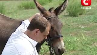 Правила життя. ВОДА: ЩО П'Є УКРАЇНА. Частина 2. Канал СТБ