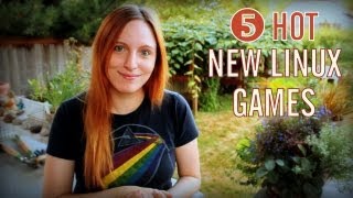 Top 5 Linux Games
