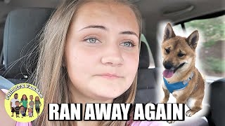 OUR PUPPY RAN AWAY! HOW DID HE GET OUT?