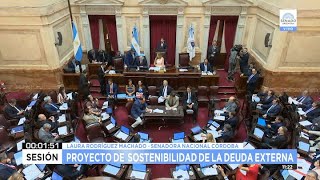 El Senado abrió el debate para convertir en ley el proyecto de sostenibilidad de la deuda