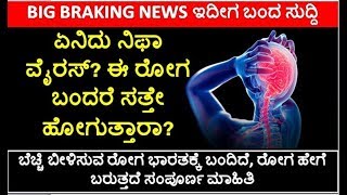 ಏನಿದು ನಿಫಾ ವೈರಸ್‌? ಈ ರೋಗ ಬಂದರೆ ಸತ್ತೇ ಹೋಗುತ್ತಾರಾ? | Nipah virus | Health tips in kannada
